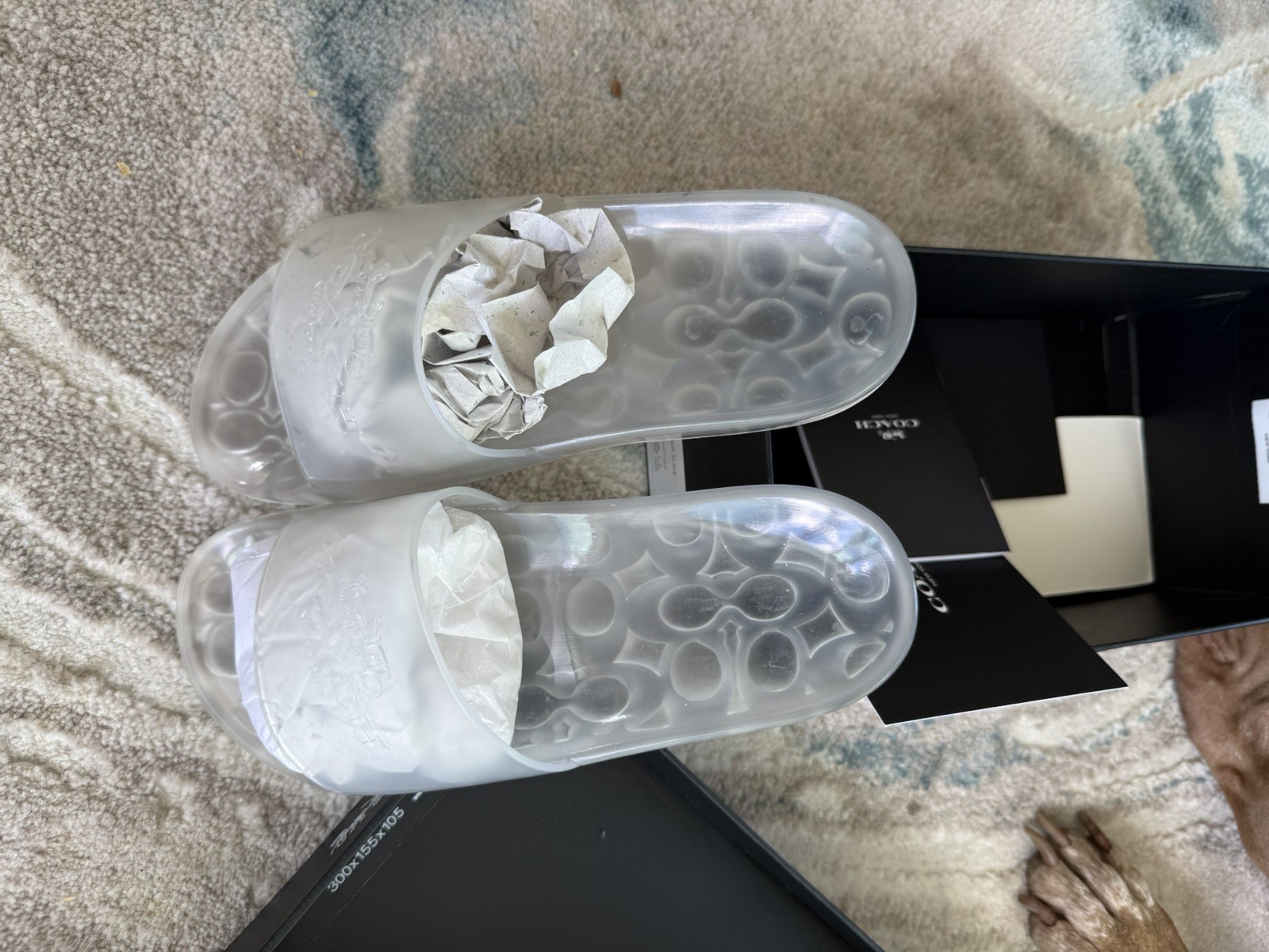 COACH Ulyssa Women Size 7 Rubber Jelly Slides Sandals Slip On New In Box #C3068