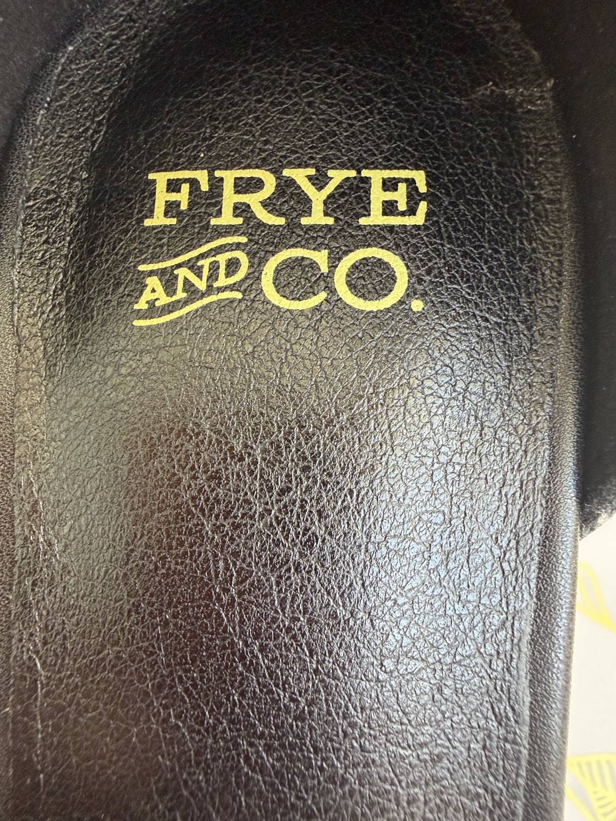 Frye and Co. Women’s Black Strappy Ankle Strap Block Heel Sandals Buckle